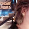 The shining Sparkle Of Metal Earrings - Image 3