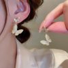 Zircon Double Butterfly Earrings - Image 6